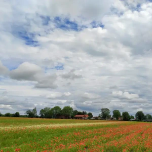 IMG_20240528_110756~3