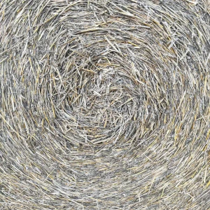 IMG_20250818_200129~2