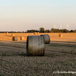 IMG_20250818_200217~2