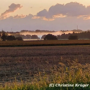 IMG_20250822_061315~2