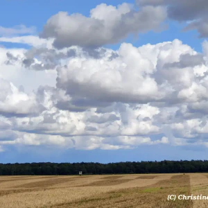 IMG_20250823_153426~3