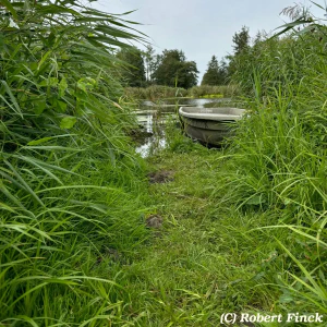 URoa1fa9ead-b63e-4f00-8fb2-03dafc3790fa