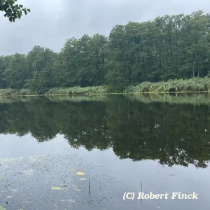 cc411f27-5efd-4206-a037-1162b0459c2d