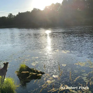 d1463ac2-7856-421d-ac76-4781925ac0ab