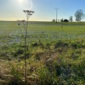 5fc1fe41-c7df-480d-bca8-4104bd7bedd7