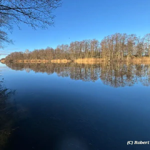 73aafda9-6d12-4108-be4d-e72cec4a1f0c