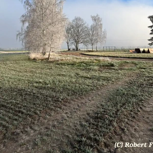 86471055-9f6d-414d-a09a-7e8b88238c70