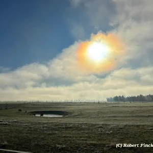 IMG_2025-01-20_at_17.12.35__1_