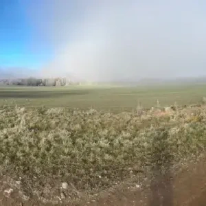 IMG_2025-01-20_at_17.12.35