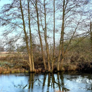 IMG_20250120_145445~3