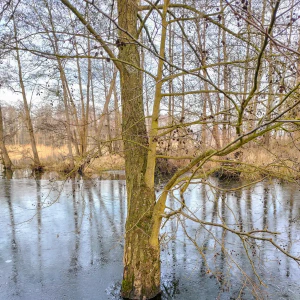 IMG_20250120_145742~2