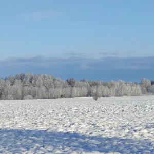 Ti_IMG_20231203_103107