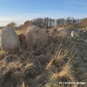 Ti_IMG_20240128_152641