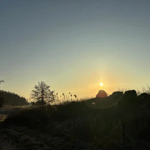 X_IMG2025-03-16at15.17.51_1