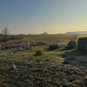 X_IMG2025-03-16at15.17.51_2