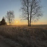 X_IMG2025-03-16at15.17.51