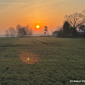 X_IMG2025-03-16at15.17.52