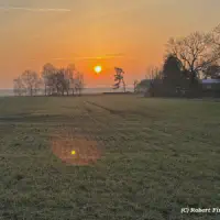X_IMG2025-03-16at15.17.52