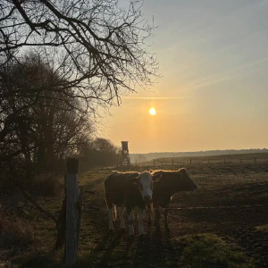 X_IMG2025-03-16at15.17.53_1