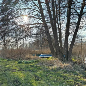 X_IMG2025-03-16at15.17.53_2