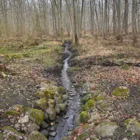X_IMG2025-03-16at15.17.53_4