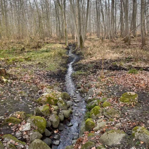 X_IMG2025-03-16at15.17.53_4