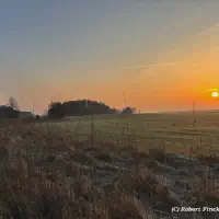 X_IMG2025-03-16at15.17.53