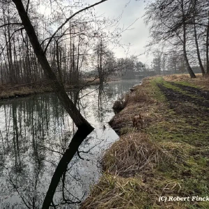 X_IMG2025-03-16at15.17.54