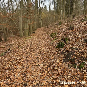 X_IMG2025-03-16at15.18.09_1