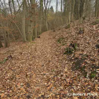 X_IMG2025-03-16at15.18.09_1