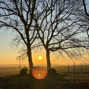 X_IMG2025-03-16at15.18.09_2