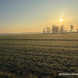 X_IMG2025-03-16at15.18.09_4