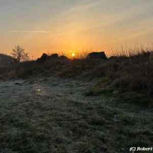 X_IMG2025-03-16at15.18.09_5