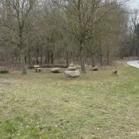 X_IMG2025-03-16at15.18.09