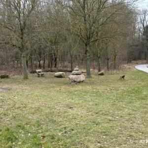 X_IMG2025-03-16at15.18.09