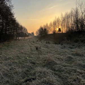 X_IMG2025-03-16at15.18.10_1