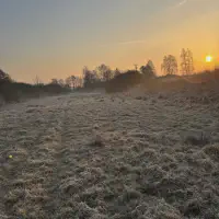 X_IMG2025-03-16at15.18.10_2