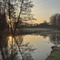 X_IMG2025-03-16at15.18.10_3