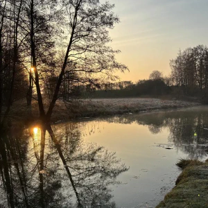 X_IMG2025-03-16at15.18.10_3