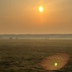 X_IMG2025-03-16at15.18.10_4