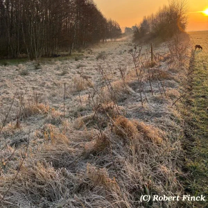 X_IMG2025-03-16at15.18.10