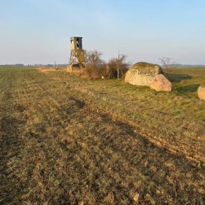 X_IMG2025-03-16at15.18.11_1