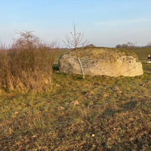 X_IMG2025-03-16at15.18.11_2