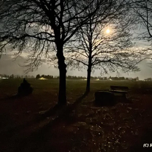 X_IMG2025-03-16at15.18.11