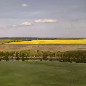 20250513_011517_892