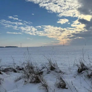 2026-01-10_at_16.46.06