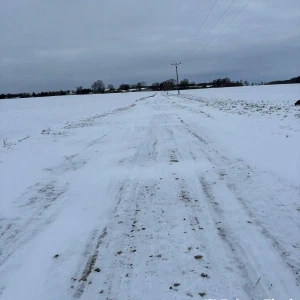 2026-01-10_at_16.46.07
