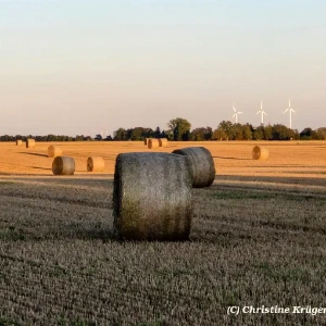 IMG_20250818_200217~2