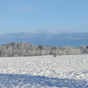 Ti_IMG_20231203_103107
