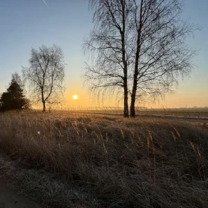 X_IMG2025-03-16at15.17.51